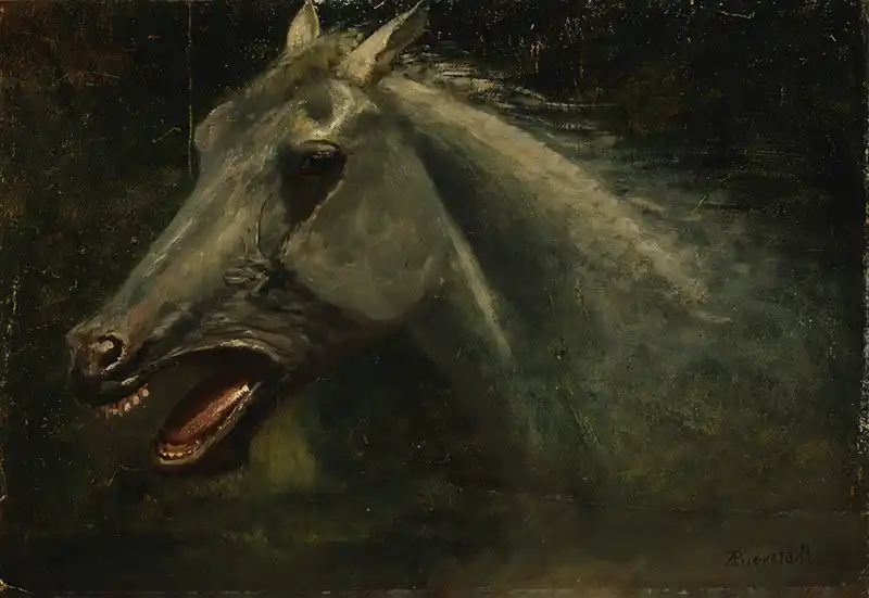 A Wild Stallion (an original oil sketch for ‘The Last of the Buffalo’